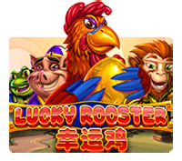 lucky rooster