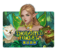 enchanted forest